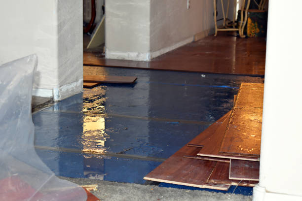 Professional Basement Flood Cleanup technician working in Mascoutah, IL